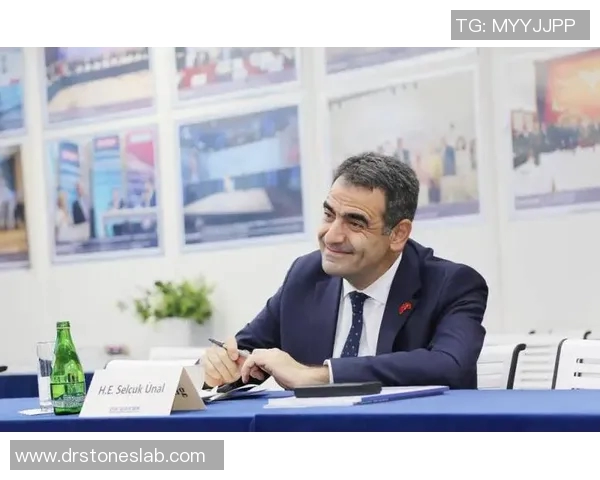 探讨于纳尔土耳其效率在现代管理中的应用与实践价值